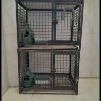 فروش جفت کن|لوازم جانبی حیوانات|فردیس, شهرک ناز|دیوار