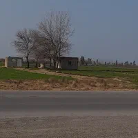 زمین-کشاورزی