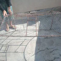 تله پرمده|لوازم جانبی حیوانات|بومهن, |دیوار