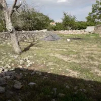 زمین