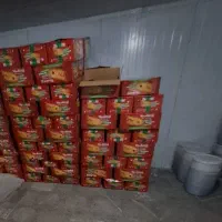 شاتوت ، شاه توت