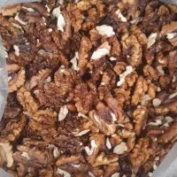 مغز گردو|حراج|یزد, |دیوار