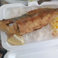 تور شاد 13 فروردین فقط 450