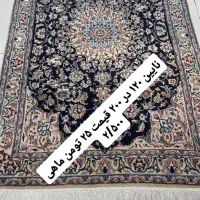 فرش دستباف( بساک ) حراج از دم قسط بدون پیش|فرش|مشکین‌دشت, |دیوار