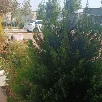 کمپ ترک اعتیاد لطف الهی|خدمات آرایشگری و زیبایی|ماهدشت, |دیوار