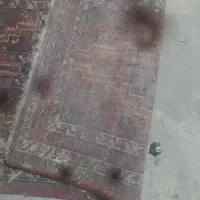 قالیچه دستبافت|فرش|ری, امین آباد|دیوار