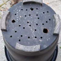 متخصص گل گیاه آپارتمانی زینتی|خدمات باغبانی و درختکاری|قم, نیروگاه|دیوار