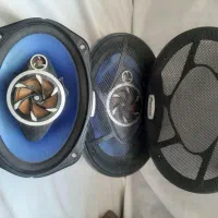 باند پایونر