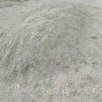کاه یونجه