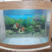 اکواریوم(قبمت توافقی)