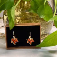 بدلیجات و اکسسوری