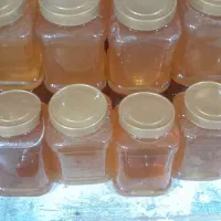 عسل صد درصد طبیعی