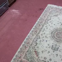 موکت وفرش|موکت|گرگان, |دیوار