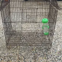 قفس پرنده و حیوون