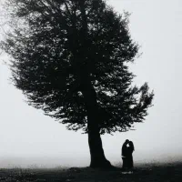 تخفیفات ویژه به مناسبت افتتاحیه شعبه دوم|خدمات پذیرایی، مراسم|تهران, طیب|دیوار