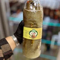 خیار شور مودب