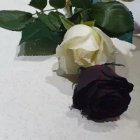 خط دائمی همراه اول