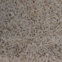 هاشمی آستانه