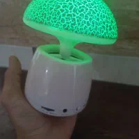 اسپیکربلوتوثی.ایوکس.فلش خور.مموری خور