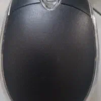 موس مینی