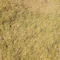 کاه لوبیا|حیوانات مزرعه|سده (فارس), |دیوار