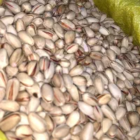 پسته خشک امسال اکبری|خوردنی و آشامیدنی|سمنان, |دیوار