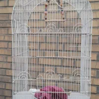 قفس عروس طوطی چهار درب بزرگ
