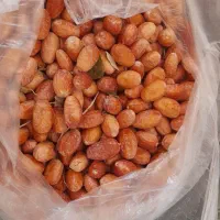سنجد