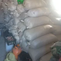 جاشیر|گل و گیاه طبیعی|دهدشت, |دیوار