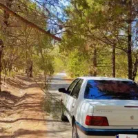 پژو ۴۰۵ااس ال ایکس|خودرو کلاسیک|خرم‌آباد, |دیوار