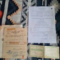 موتور سوزوکی مینی ۸۰ کاوازاکی cb دو زمانه عطیقه|موتورسیکلت|تهران, تهرانپارس شرقی|دیوار