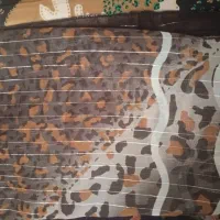 روسری نو|لباس|تبریز, |دیوار