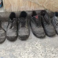 کفش کار