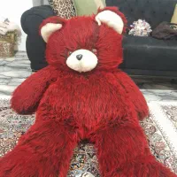 خرس ولنتاین|اسباب‌‌بازی|تبریز, |دیوار