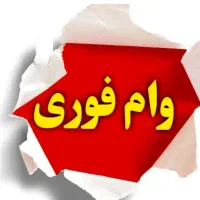 ضامن وام