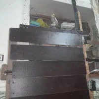 ۵عدد فنج و جفت عروس بفروش میرسد دوستمحمد|پرنده|هیرمند, |دیوار