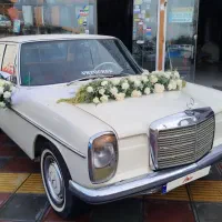 اجاره ماشین عروس|خودرو اجاره‌ای|دابودشت, |دیوار