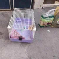 قفس خرگوش