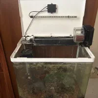 آکواریوم