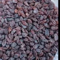 کشمش درجه یک و بدون هسته