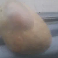 سنگ‌کمیاب‌