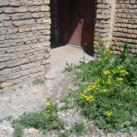 فروش سوله ۲۰۰متری|فروش دفتر صنعتی، کشاورزی، تجاری|مرند, |دیوار