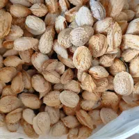 فندوق و بادام