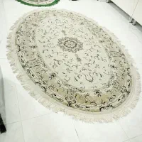 قالیچه|فرش|اهواز, معین زاده|دیوار