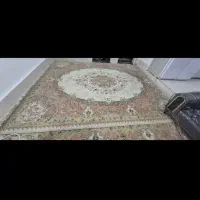 قالی
