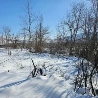 قطعه-زمین-به-متراژ-370-متر-واقع-در-لشسر-کلاردشت