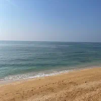 زمین مخصوص ساخت ویلا در شهمیرزاد