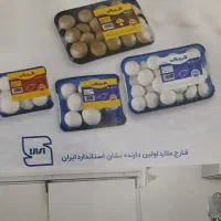 پخش قارچ ملارد