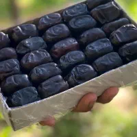 رطب مضافتی تشریفاتی