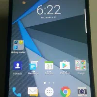 گوش باگ بری